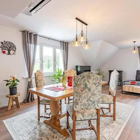 Apartament Alsace Moderne - T2 60 M2, Terrasse, Fibre & Netflix - *